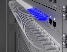 UACC-CABLE-PATCH-EL-8M-W-2